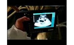 How to perform a afast abdominal ultrasound in a pig/cow/cattle | GF007 Veterinary CE Videos