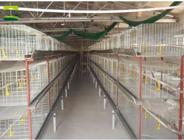 Great Farm - Vertical Broiler Cages