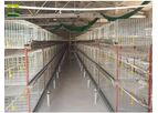 Great Farm - Vertical Broiler Cages