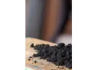 American Biocarbon - Biochar