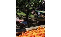 ABCgrower - Orchard Labour Collects And Reports Software
