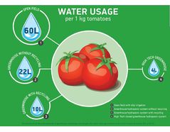 The future of agriculture: saving water with Hydroponic Crops