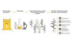 EP™ Technology - Increasing Yields Genetic Improvement