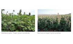 CastorMaxx© - Integrated Castor Cultivation System