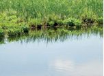 ZA-FS-SG-0915C: Small Scale Flask Demonstration of the Treatment of Sewage Waste at Waste Water Plant - Case Study