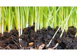 What nutrients are left in your soil?