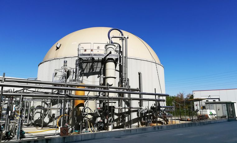 Dairy feeds Biogas plant with whey - Case study-1