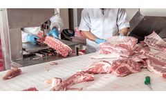 Treatment Solutions for Meat-Processing Wastewater
