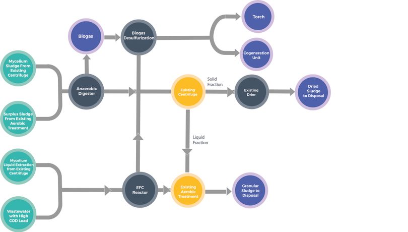 Waste-to-Energy Solution for a Pharmaceutical Company-0