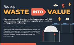 Waste-to-Energy Infographic: Turning Waste Into Value