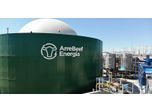 Why Is There Diversification of Anaerobic Digester Designs?