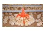 Low Level Feeding Plants for Broilers Ø 45 - Video