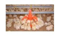Low Level Feeding Plants for Broilers Ø 45 - Video