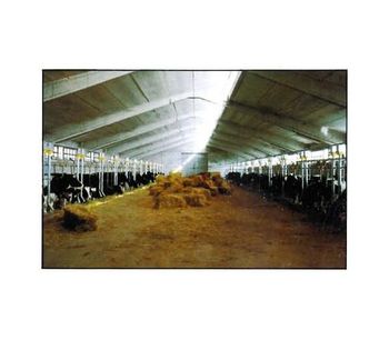 Feeding Systems for Milk Cows-3