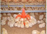 Low Level Feeding Plants for Broilers