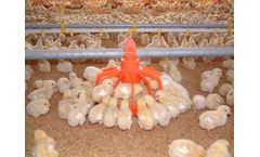 Falcon - Model Ø 45 - Low Level Feeding Plants for Broilers
