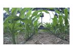 360 Y-DROP - Portable Agriculture Soil Nitrogen Testing System