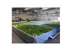 Model ZDEP - Commercial Clear Flow Aquaponic Systems