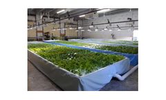 Model ZDEP - Commercial Clear Flow Aquaponic Systems
