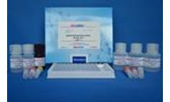 REAGEN - Model RNH94006 - Methyltestosterone ELISA Test Kit