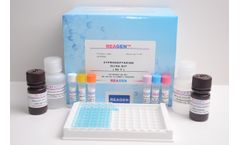Amoxicillin ELISA Kit
