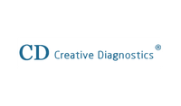 Creative Diagnostics