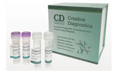 Creative Diagnostics - Model DEIA1809 - Human RF IgG EIA Kit