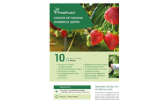 FresaProtect - Strawberry Aphid Species Parasitoides Brochure