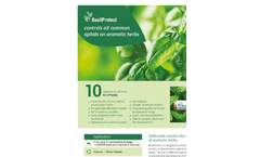 BasilProtect - Herbs Aphid Species Parasitoides Brochure