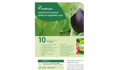 VerdaProtect - Aphid Species Parasitoides for Vegetables - Brochure