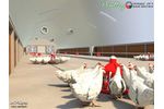 DS Building - Agriculture - Poultry