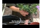 Symbiom Mycorrhiza - Treatment at Planting - Symbivit - Gel Application Video