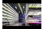 Vertical farming at AeroFarm  | Curbed Tours Video