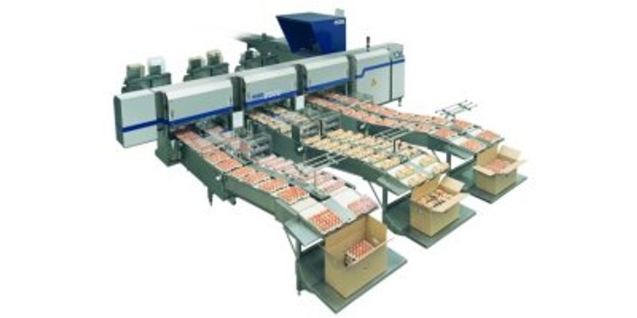 Moba Moba - Model 2500 - Poultry Egg Grading Machines