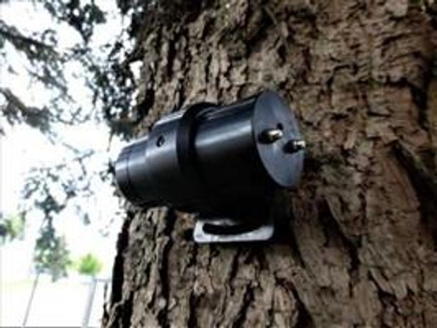 PiCUS - Tree Motion Sensors (TMS)