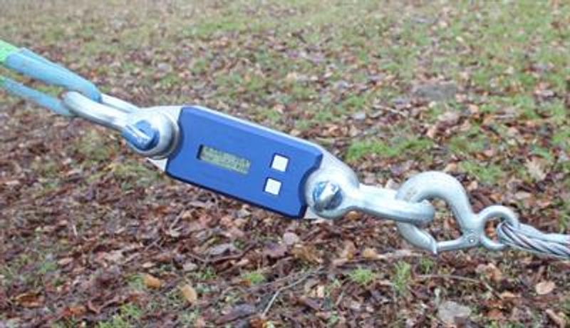 TreeQinetic - Forcemeter Measures
