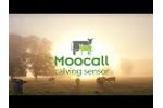 Moocall Calving Sensor Overview Video
