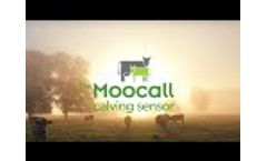 Moocall Calving Sensor Overview Video