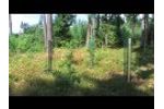 Tree Protection Large Meshed - Witasek Pflanzenschutz Video