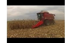 Tianren Corn Head with CASE 2388 Working - Video