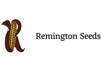 Remington - Utilizing Cutting-Edge Technology
