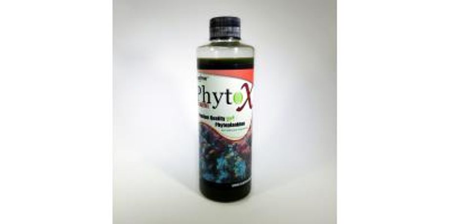 FeedMe Phyto - Model X - High Concentration Phytoplankton Blend