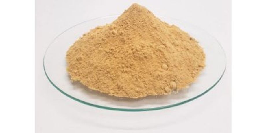 Alganics - Model DHA AB - Ultra Fine Rich Light Yellow Algae Powder