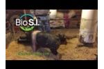 Bio S.I. Technology Floor-Mate Testimonial Video