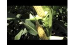 Bio SI Technology - Farm Applications Video