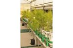 Intelligent Screening System for Abiotic Stress Response - Agriculture - Crop Cultivation