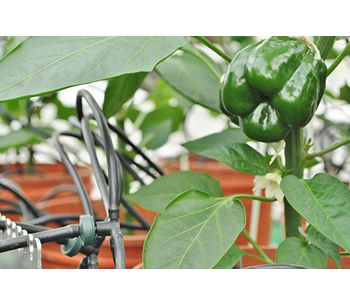 Plantarray Hardware and Software for Effect of Nutrients, Biostimulants & Pesticides - Agriculture - Irrigation