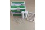 Model BW004 - Milk Antibiotics Test Kit Beta-Lactam and Tetracycline Milk Test Kit