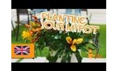 Planting your MyPot Video