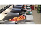 Aweta Midstar - Apricots Sizer Sorting System